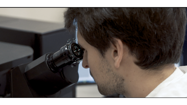 Contrôle.png Contrôle.png